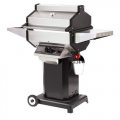 Phoenix Gas Grill With Black Cart