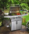 Fire Magic Grill