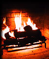 Fireplace Gas Logs