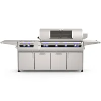 (image for) Fire Magic E1060s Echelon Portable Grill With Magic View Window & Analog Thermometer