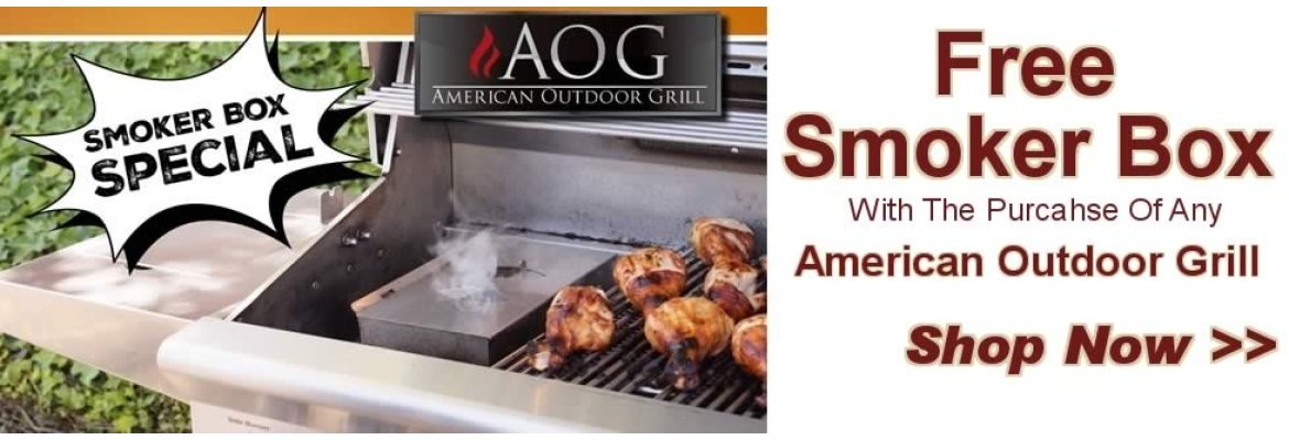 (image for) American Outdoor Grill Special