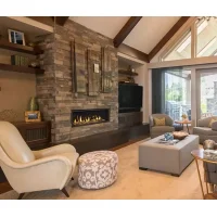 (image for) Echelon II 48-Inch Wide View Fireplace by Majestic