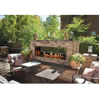 (image for) Carol Rose See-Through 48-Inch Outdoor Linear Fireplace