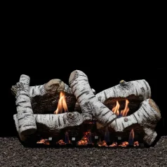 (image for) Empire Birch 24-Inch Electronic Ignition Vent Free Gas Logs