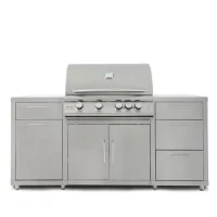 (image for) Blaze Grills LTE Stainless Steel Island Package