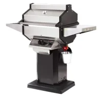 (image for) Phoenix Grill With Painted Black Patio Base