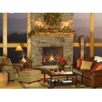 (image for) ESCAPE-36-DV