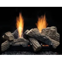 (image for) Monessen See-Thru Natural Blaze Vent-Free Gas Log Set