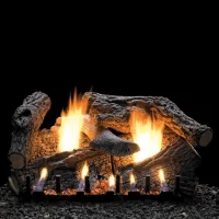 (image for) Empire Super Sassafras 24-Inch Variable Remote Vent Free Gas Logs