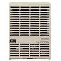 (image for) Empire Direct Vent Gas Space Heater 10,000 BTU