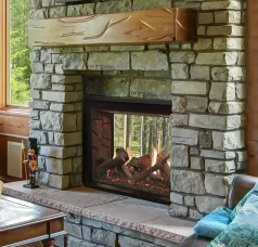 (image for) Rushmore 40-Inch See-Through Direct Vent Fireplace