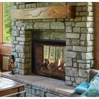 (image for) Rushmore 40-Inch See-Through Direct Vent Fireplace