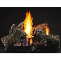 (image for) Monessen Mojo 22-Inch Gas Logs