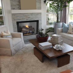 (image for) Superior Fireplaces 50 Vent Free Firebox