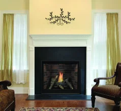 (image for) Tahoe Premium 42-Inch Clean Face Direct Vent Fireplace