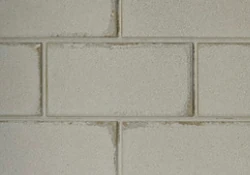 Ashland Natural Gray Traditional Brick