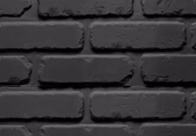 Biltmore Onyx Black Traditional Fireplace Brick