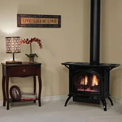 (image for) Empire Direct Vent Stoves