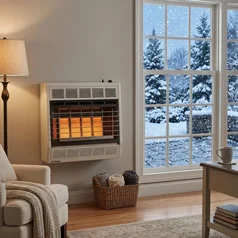 (image for) Gas Space Heaters