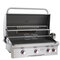 American Outdoor Grill 30" Built-In