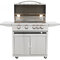 Blaze 32" LTE Portable Cart Grill With Lights