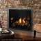 Marquis II 36" Direct Vent Fireplace by Majestic
