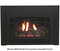 Innsbrook Medium Clean Face Direct Vent Insert