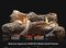Empire Flint Hill 18" Remote Ready Vent Free Gas Logs