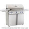 American Outdoor Grill 36" Portable