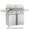 American Outdoor Grill 36" Portable