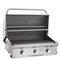 American Outdoor Grill 30" Built-In With Interior Lighting