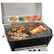 Broilmaster Premium P3X Grill Head