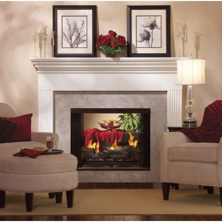 Tahoe See-Through Direct Vent Fireplace