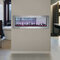 Napoleon Clearion Linear See-Through Electric Fireplace