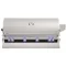 Fire Magic E1060i Echelon Built-In Grill With Analog Thermometer