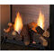 Ventfree See-Thru Fireplace with Multi-Side Log Set