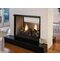 Ventfree See-Thru Fireplace with Multi-Side Log Set