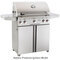 American Outdoor Grill 30" Portable