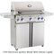 American Outdoor Grill 30" Portable
