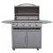 Blaze 32-Inch BCM Portable Grill With 4 Burners