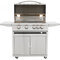 Blaze 32" Marine Grade LTE Portable Cart Grill With Lights