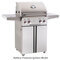 American Outdoor Grill 24" Portable With Rotisserie & Side Burner