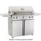 American Outdoor Grill 36" Portable With Rotisserie & Side Burner