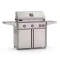 American Outdoor Grill 36-Inch Portable With Rotisserie & Lights
