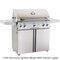 American Outdoor Grill 36" Portable With Rotisserie & Side Burner