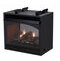 Vail See-Through Vent Free Fireplace System