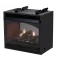 Vail See-Through Vent Free Fireplace System