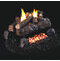 Real Fyre Evening Fyre Ventless See-Thru Gas Logs