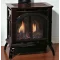 Empire Compact Direct Vent Stove