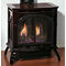 Empire Compact Direct Vent Stove